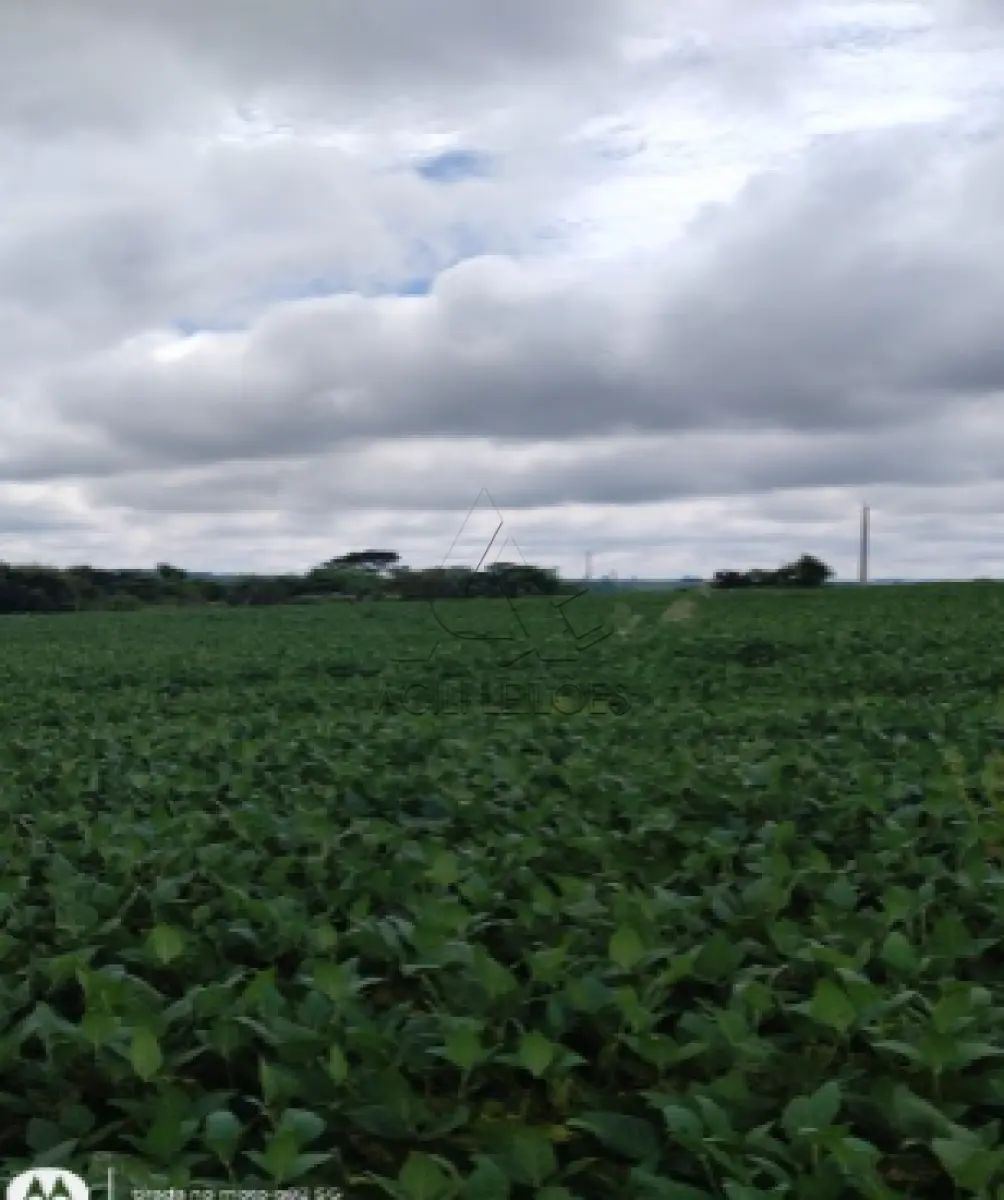 LOTE 002 - MATRICULA 6.833