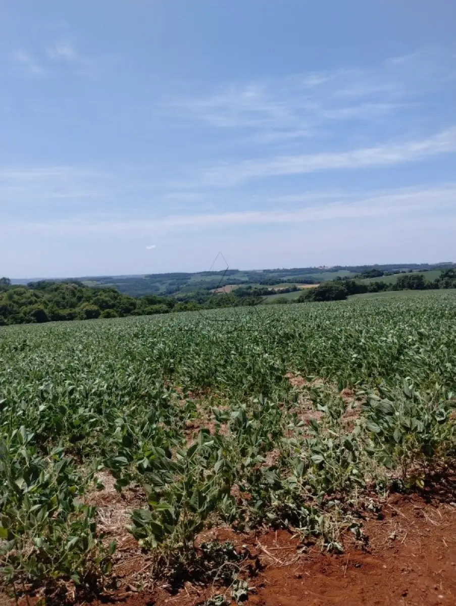 LOTE 000 - IMÓVEIS: Lote 01 Matrícula nº 7.569 – Área de 53.000,00 m²  RI de Três de Maio/RS