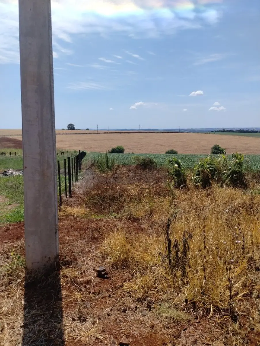 LOTE 000 - IMÓVEIS: Lote 01 Matrícula nº 7.569 – Área de 53.000,00 m²  RI de Três de Maio/RS
