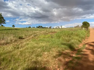 LOTE 007 - Terras 35.000m² – Lote 20, Matrículas 5577 e 7144, Linha Ceroula, solo vermelho argiloso, coxilha. Avaliação R$ 325.000,00.