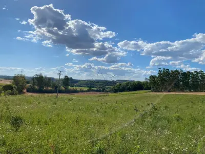 LOTE 007 - Terras 35.000m² – Lote 20, Matrículas 5577 e 7144, Linha Ceroula, solo vermelho argiloso, coxilha. Avaliação R$ 325.000,00.