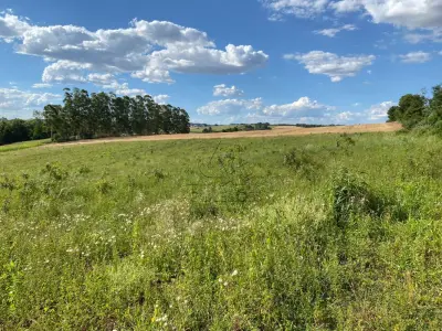 LOTE 007 - Terras 35.000m² – Lote 20, Matrículas 5577 e 7144, Linha Ceroula, solo vermelho argiloso, coxilha. Avaliação R$ 325.000,00.