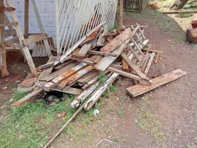 LOTE 030 - Madeira cepo 3m³ + madeira serrada 1m³. Avaliação R$ 50,00.