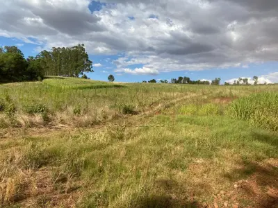 LOTE 007 - Terras 35.000m² – Lote 20, Matrículas 5577 e 7144, Linha Ceroula, solo vermelho argiloso, coxilha. Avaliação R$ 325.000,00.