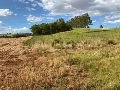 LOTE 007 - Terras 35.000m² – Lote 20, Matrículas 5577 e 7144, Linha Ceroula, solo vermelho argiloso, coxilha. Avaliação R$ 325.000,00.