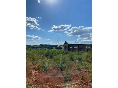 LOTE 006 - Terras 5.000m² – Lote 08, Linha Porto Alegre Norte, Matrícula 1382, solo vermelho argiloso, plano, agricultável. Avaliação R$ 40.000,00.