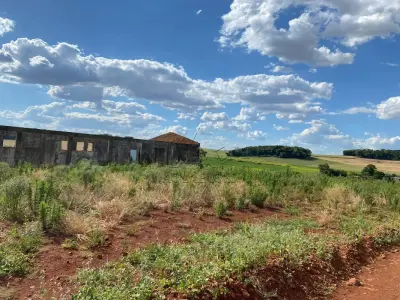 LOTE 006 - Terras 5.000m² – Lote 08, Linha Porto Alegre Norte, Matrícula 1382, solo vermelho argiloso, plano, agricultável. Avaliação R$ 40.000,00.