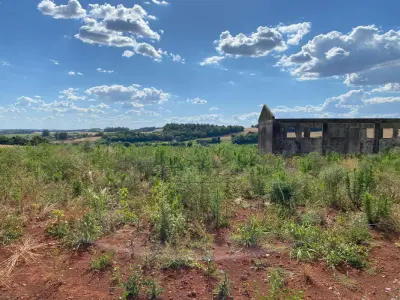 LOTE 006 - Terras 5.000m² – Lote 08, Linha Porto Alegre Norte, Matrícula 1382, solo vermelho argiloso, plano, agricultável. Avaliação R$ 40.000,00.