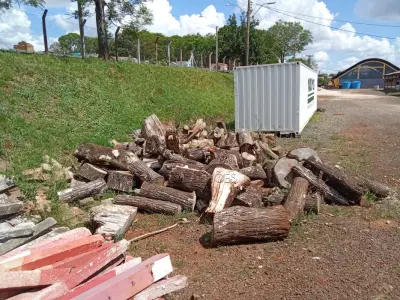 LOTE 030 - Madeira cepo 3m³ + madeira serrada 1m³. Avaliação R$ 50,00.