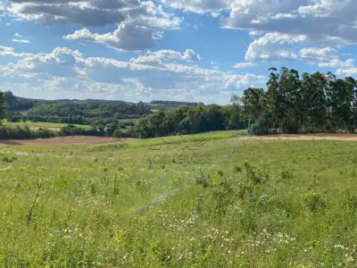 LOTE 007 - Terras 35.000m² – Lote 20, Matrículas 5577 e 7144, Linha Ceroula, solo vermelho argiloso, coxilha. Avaliação R$ 325.000,00.