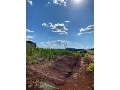 LOTE 006 - Terras 5.000m² – Lote 08, Linha Porto Alegre Norte, Matrícula 1382, solo vermelho argiloso, plano, agricultável. Avaliação R$ 40.000,00.