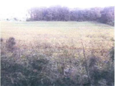 LOTE 001 - Matrícula nº 13586