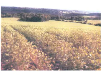 LOTE 002 - Matrícula nº 18342 