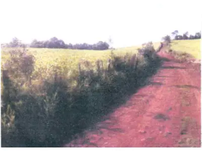 LOTE 002 - Matrícula nº 18342 